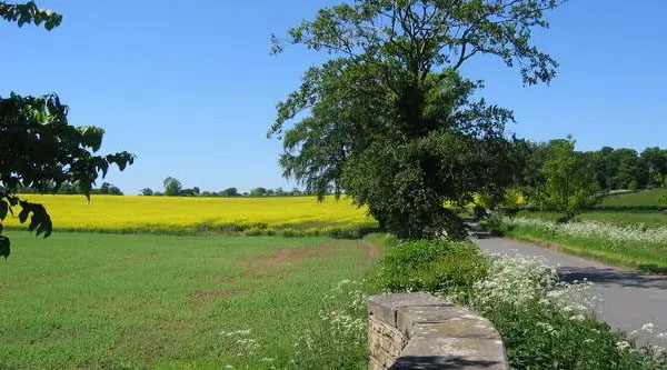On the road to Foston by Stephen Horncastle